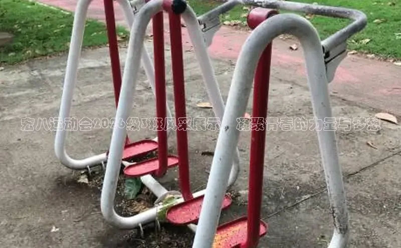 球速体育比分